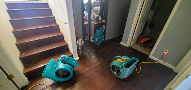 Best Emergency water damage restoration  in Mountlake Terrace, WA