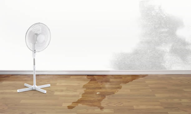 Water damage restoration experts in WA