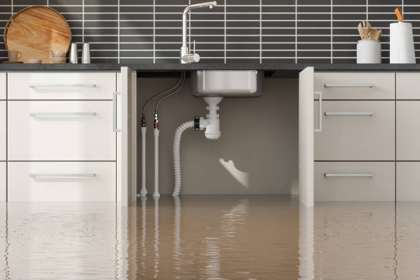 Best Water damage cleanup near me  in Mountlake Terrace, WA