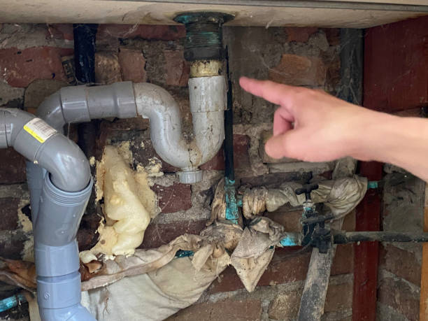 Best Residential water damage restoration  in Mountlake Terrace, WA